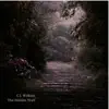 C.J. Wilkins - The Hidden Trail - Single